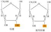 糖是一种 a href="#" data-lemmaid="300787">有机物 /a>,化学式为c 