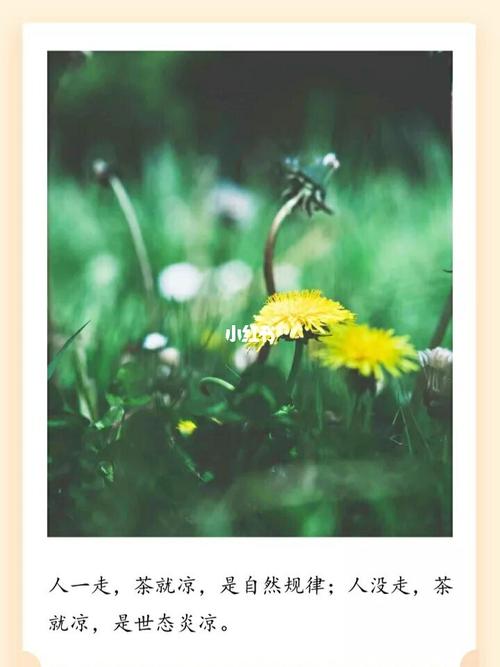 人一走,茶就凉,是自然规律;人没走,茶就凉,是世态炎凉,人走了,茶不凉