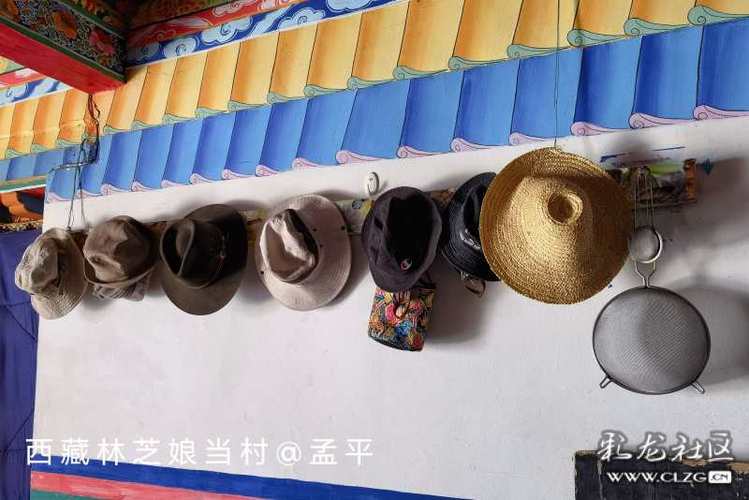全家十一口人的帽子