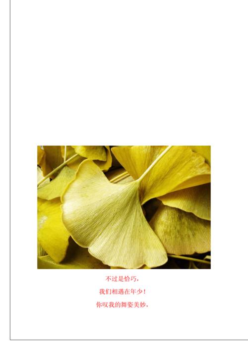 诗叶子诗歌 不过是恰巧,我们相遇在年少!doc 34页