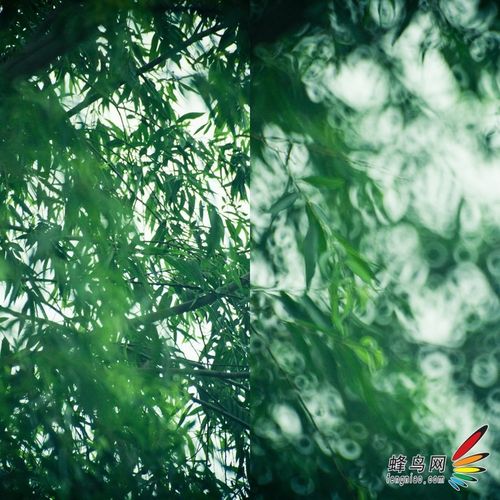 旋转焦外不神秘 教你diy折返镜头拍出甜圈