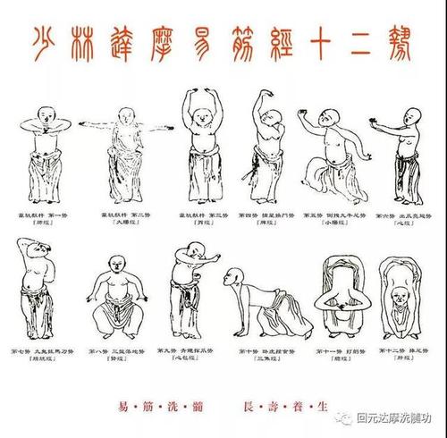 修心健身,抗击疫情!请收下这套《少林达摩易筋经十二式》