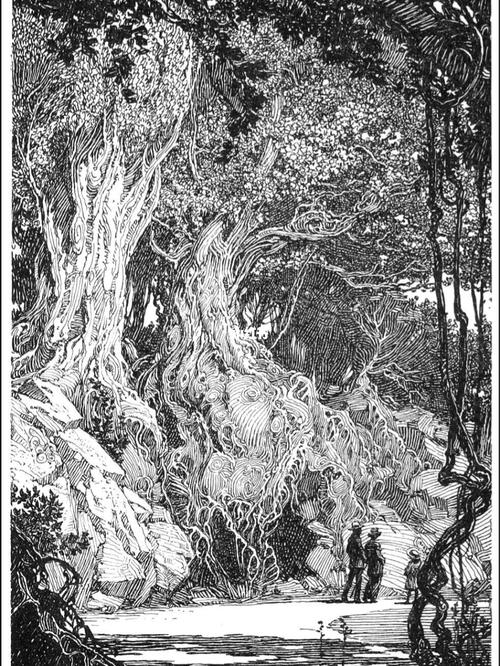 黑白插画_插画_钢笔_杂志_我的插画分享_文化_绘画