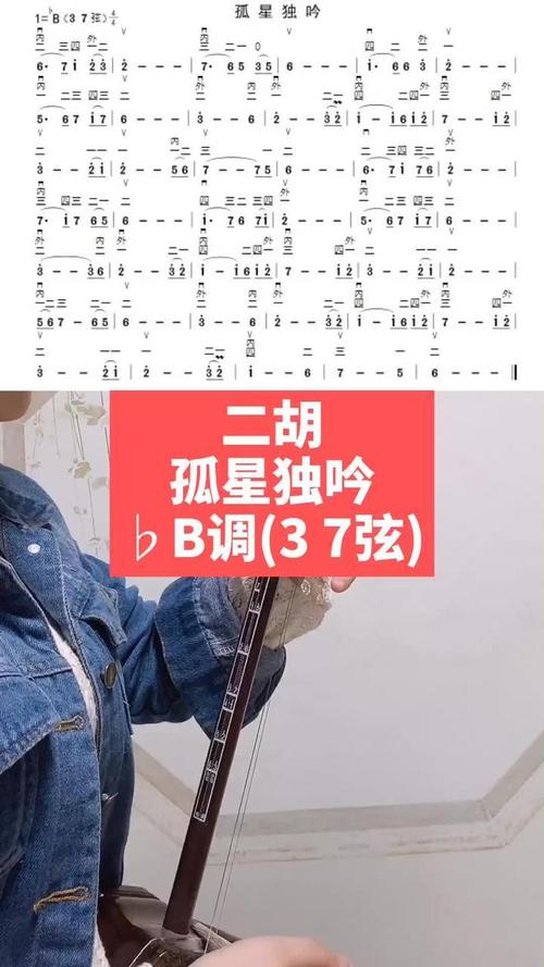 孤星独吟71b调37弦二胡教学乐器演奏