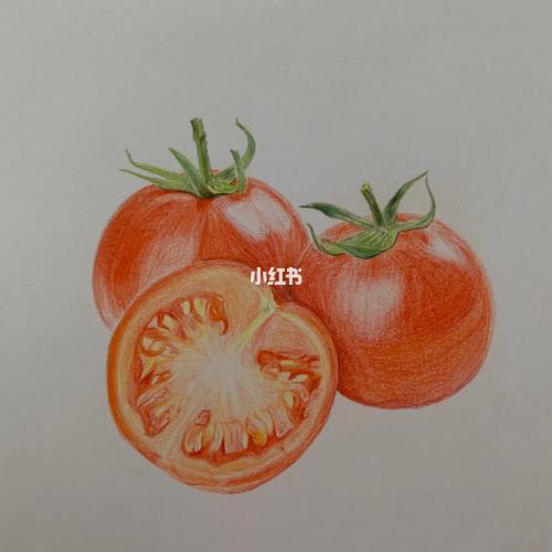 彩铅番茄(附上步骤图)_彩铅_高光_绘画_小朋友_寻找小红书绘画大神