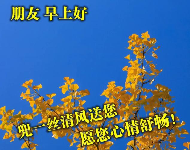 祝福相伴的早安动态表情包每日最新早上好动态祝福图片