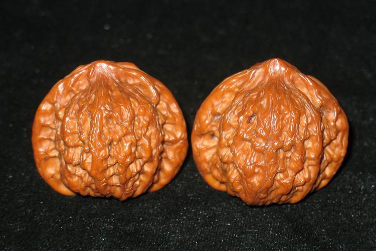 公子帽核桃为什么好,名核公子帽的外形特征?