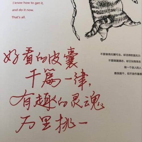 好看的皮囊千篇一律