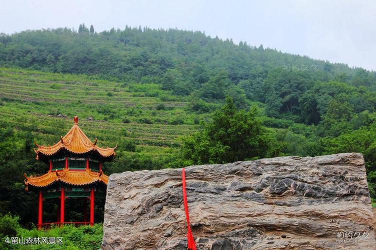 安丘辉渠百泉旅游区旅游攻略之留山森林风景区4共9页