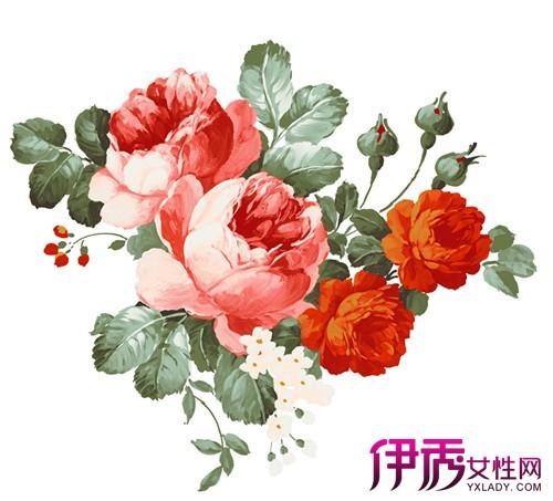 【图】水粉的手绘牡丹花丛欣赏 5个技巧画出精美国花