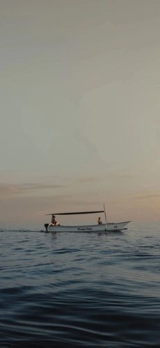 潮流壁纸精选|2021-04-26