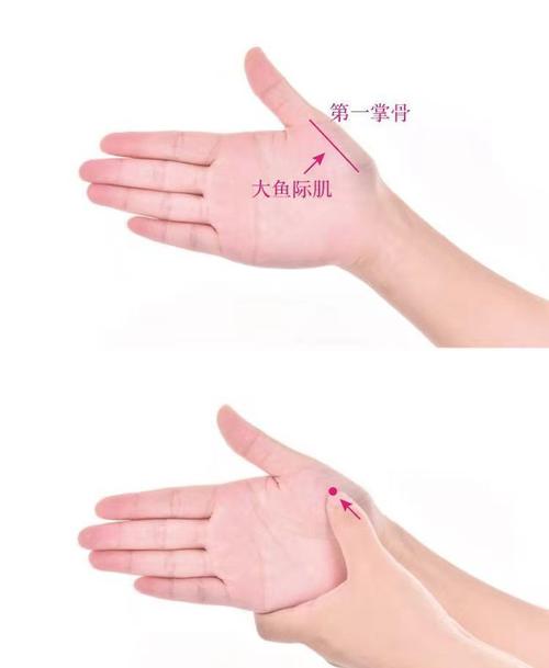每日一穴鱼际穴