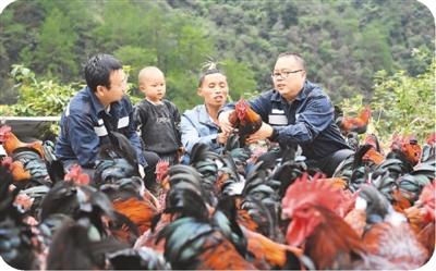 曾庆波,陈鑫,杨帆,李根分别是贵州省黔东南苗族侗族自治州台江县台