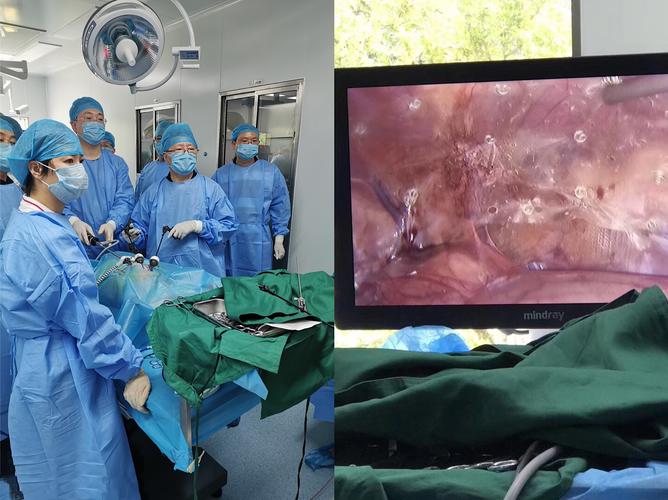 术中使用生物补片