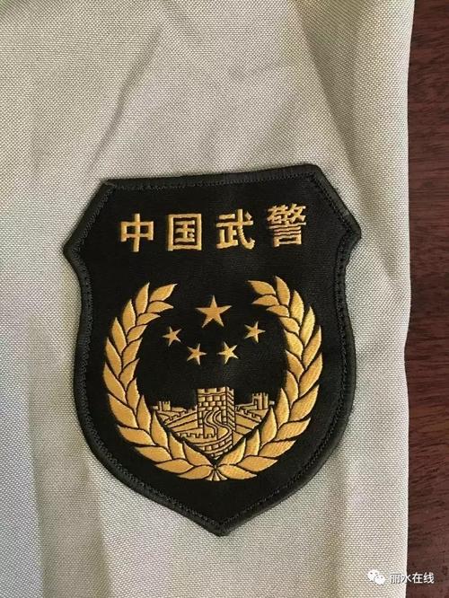 甚至袖子上还有"中国武警"字样的臂章