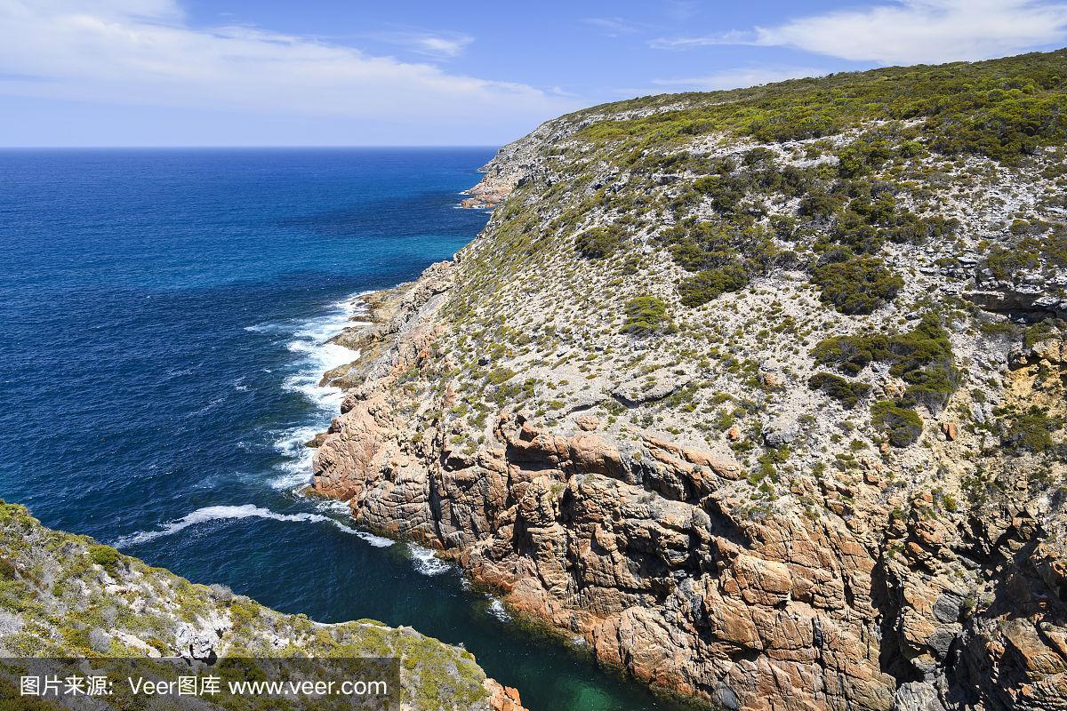 海岸线,野外动物,艾尔半岛,南澳大利亚,著名景点