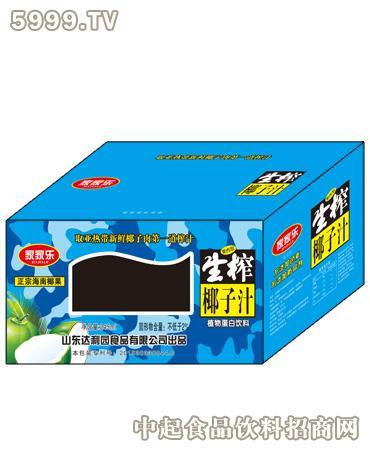 家家乐生榨椰子汁迷彩箱子_植物蛋白_蛋白饮料产品库_枣庄市达利园