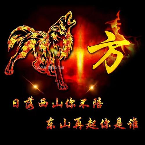 2021狼王霸气姓氏头像日落西山你不陪东山再起你是谁