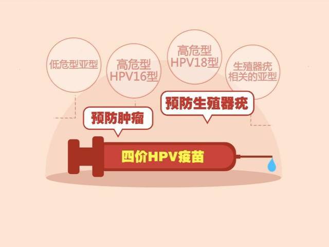 宫颈癌hpv疫苗到底该不该打?