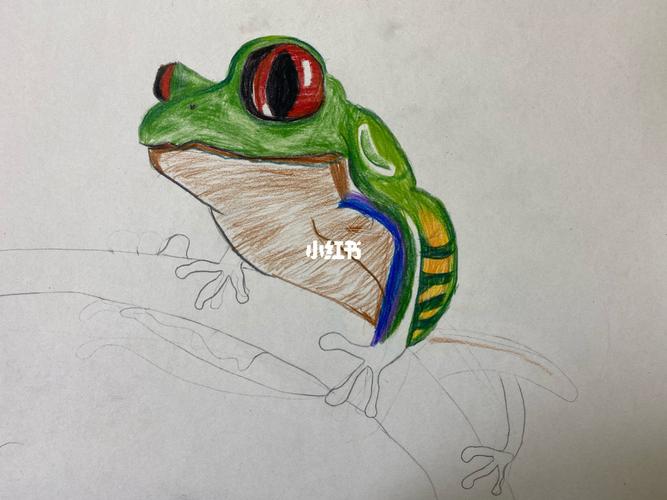 三年级彩铅青蛙_彩铅_文化_绘画
