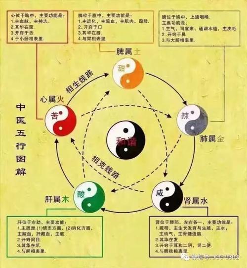 五行能量滋养把先天不足后天补上