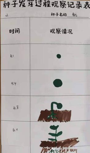 73 种子生长记录第三章:小种子之"集体教学"经历了一段时间的种植