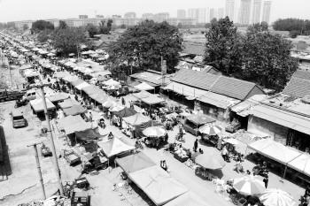 马尚大集华丽转身