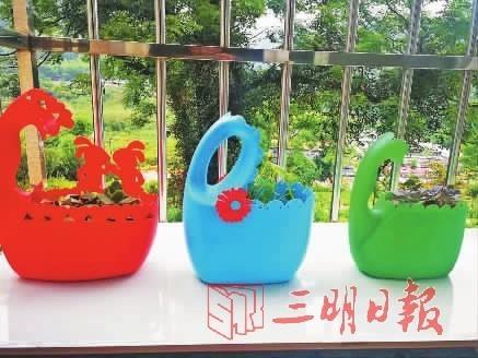 洗涤液桶变成花盆