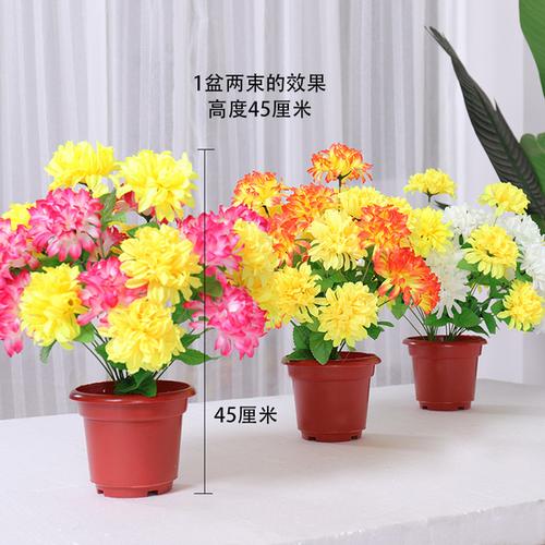 购客清明节塑料花清明节仿真花花束上坟塑料菊花墓地清明扫墓假花祭