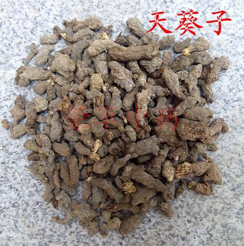 荣草 供应 中药材 千年老鼠屎 金耗子屎夏无踪散血球天葵子