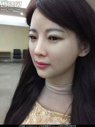 中国首个美女机器人诞生!神态触感似真人!
