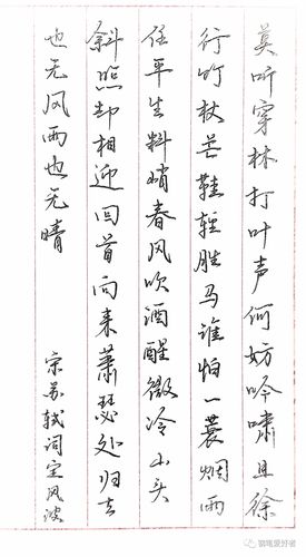 苏轼《定风波》手写钢笔字笔友钢笔书法习作欣赏