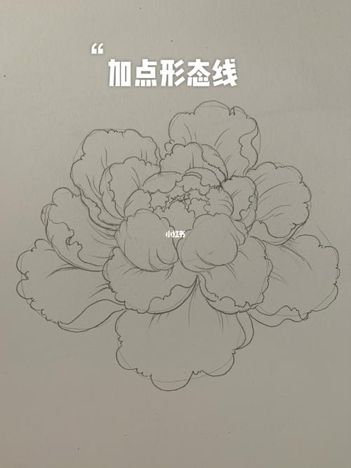 亲们别客气 超简单牡丹简笔画 94教程 细节_简笔画