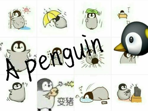 史上最全小企鹅表情(下)_表情包_我最爱的表情包_素材