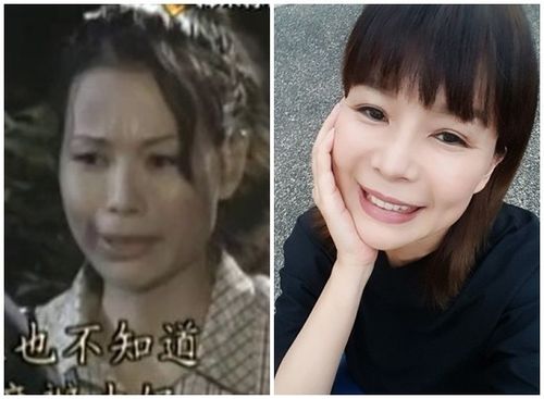 早期是《玫瑰瞳铃眼》,《蓝色蜘蛛网》,《戏说台湾》等警世戏剧的固定