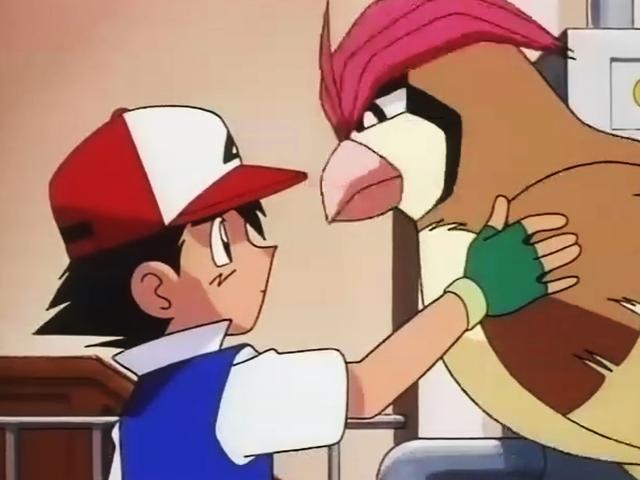 精灵宝可梦:小智的比比鸟(比雕),从哪儿来,就回哪儿去