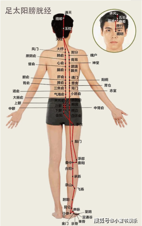 人体十二经络真人图