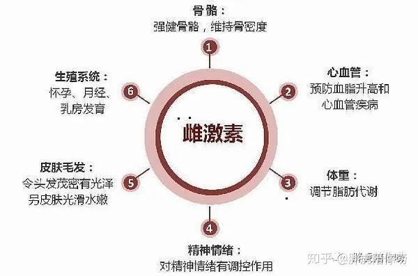 "到底什么是雌激素呢?"
