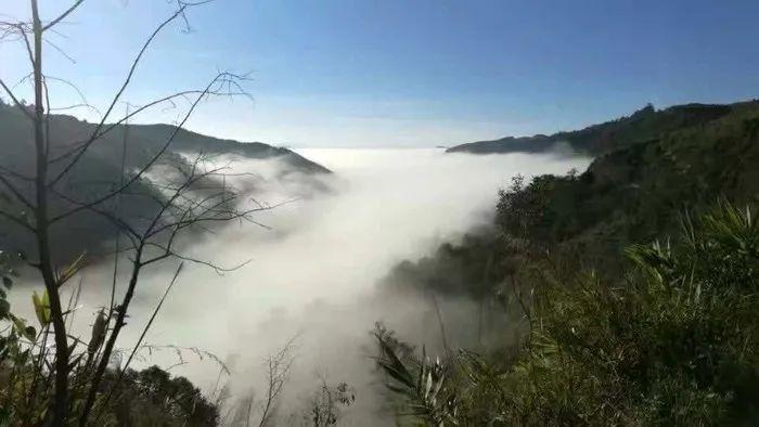 景迈山的云海或波澜壮阔或婉约细腻.