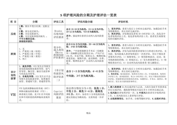 5项护理风险评估一览表