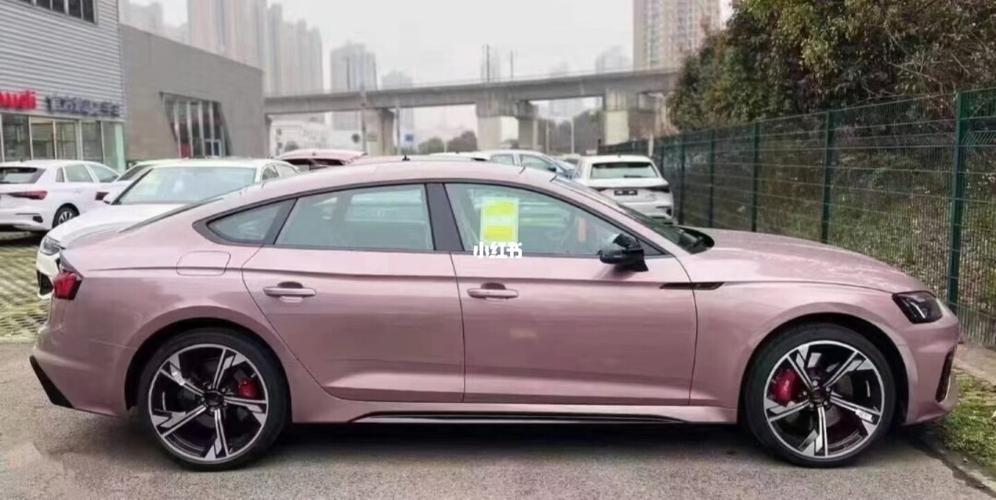 奥迪冰梅粉_奥迪怎么样_汽车_汽车介绍