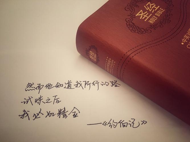 手写,插画,文字,语录,圣经圣经约伯记