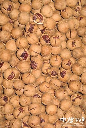 胡桃肉是什么胡桃肉有什么功效和作用