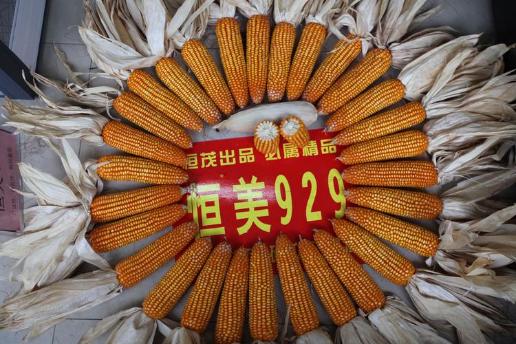 "信心来源于实力,实力来源于表现."——恒美919