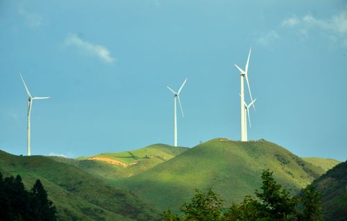 标题:南国大草原
