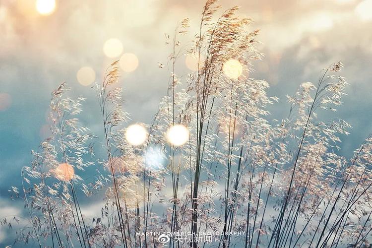 冰冻三尺,非一日之寒.其实离真正的寒冷还早.但这时候就要准备冬衣了.