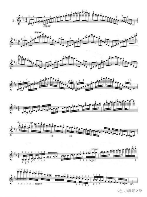 每日音阶-d小调