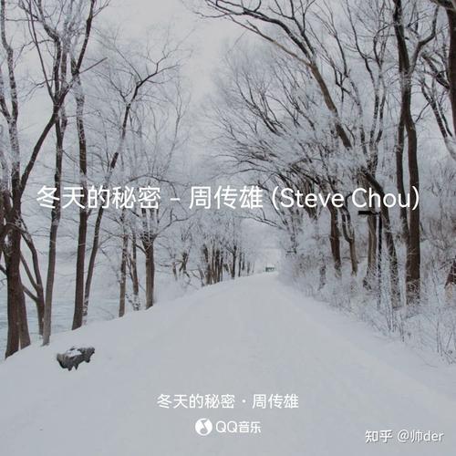 周传雄唱《冬天的秘密》这首歌使用了哪些技巧?