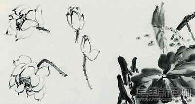 写意荷花的画法