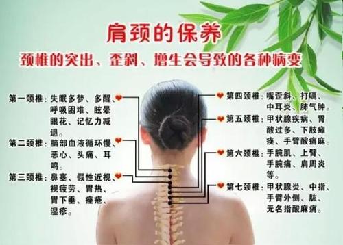 别看肩颈平时我们伸个懒腰的事,其实大有讲究,特别是肩颈堵塞会引起